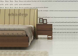 Giường ngủ người lớn số 9
