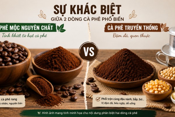 Sự Khác Biệt Giữa Cà Phê Mộc Nguyên Chất Và Cà Phê Truyền Thống Đậm Đà: Chọn Gu Nào Cho Phù Hợp?