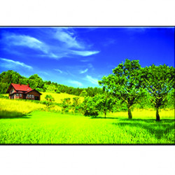 Tranh trang trí  07