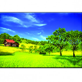 Tranh trang trí  07