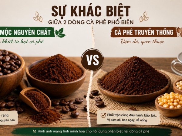 Sự Khác Biệt Giữa Cà Phê Mộc Nguyên Chất Và Cà Phê Truyền Thống Đậm Đà: Chọn Gu Nào Cho Phù Hợp?